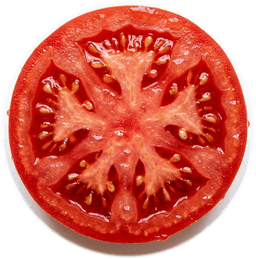 Juicy Ripe Tomato Slice